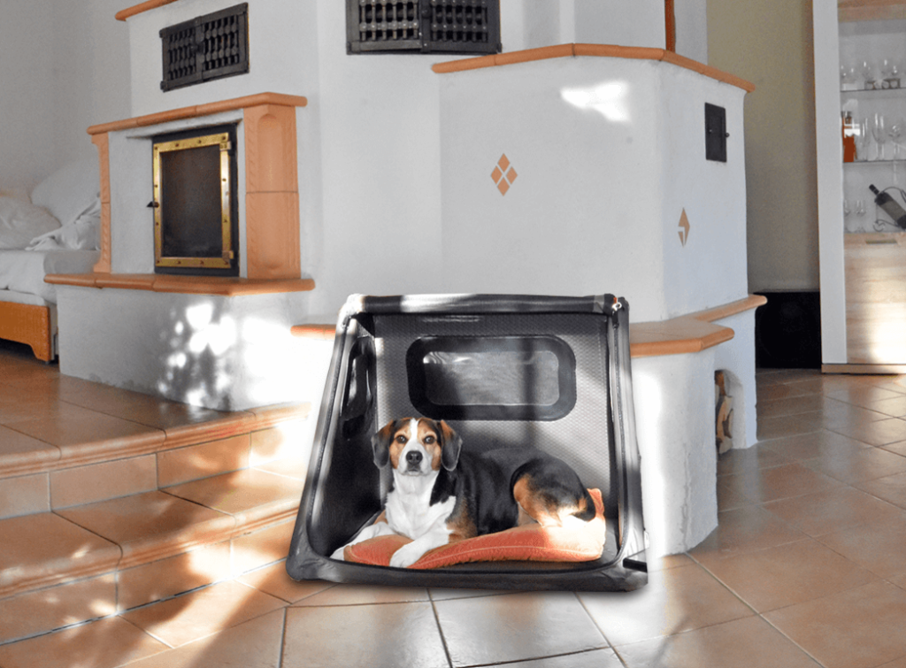 家の犬箱に入った犬