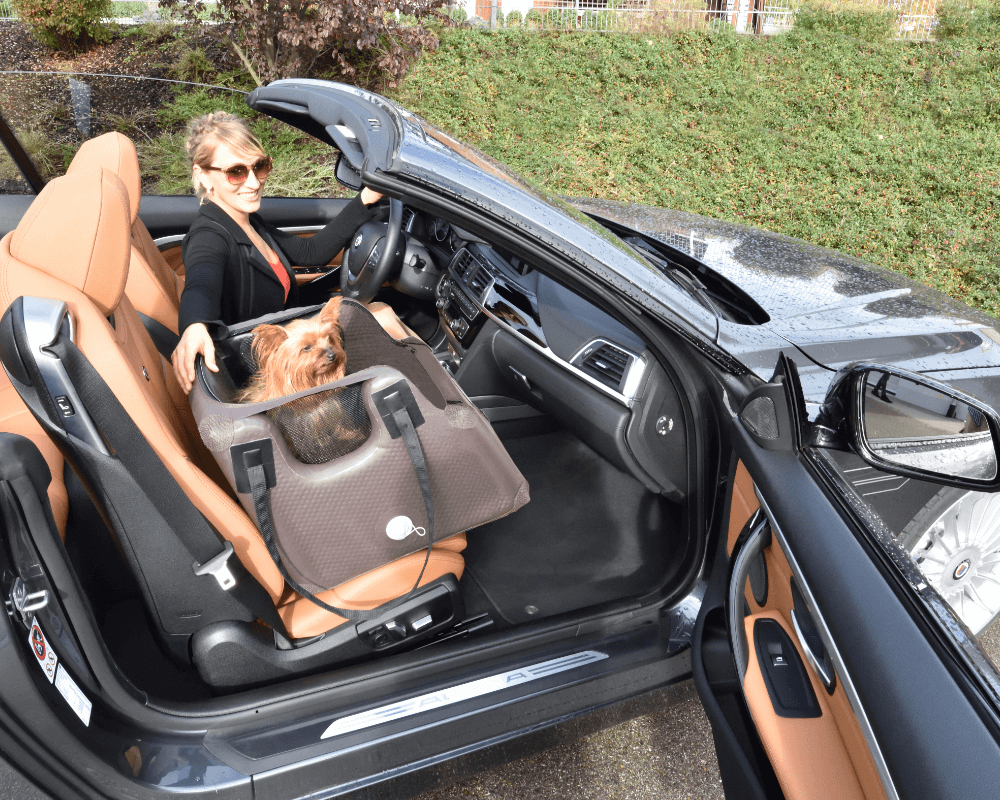 Milli Auto fgett Katalog