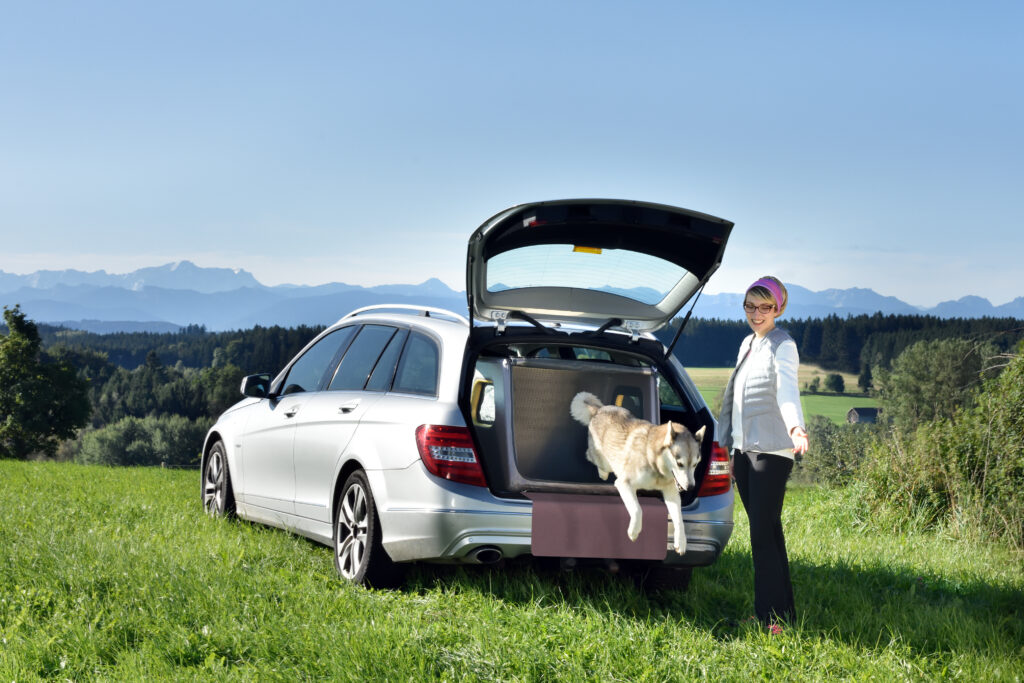 愛犬とTAMIドッグボックスと一緒に旅行