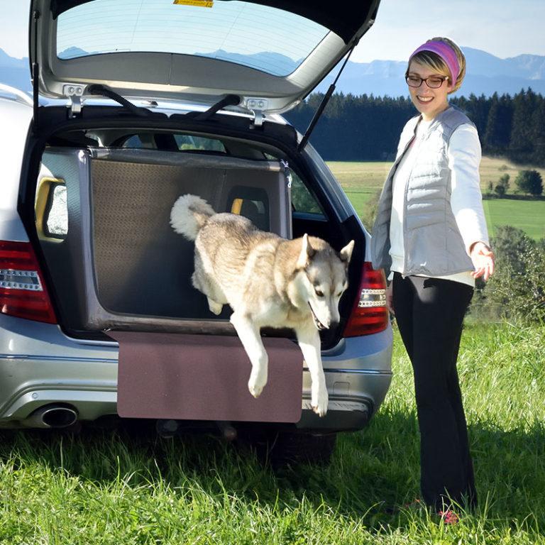 Magik & Kover 2er Set Hundebox-Pads – Weiche, Rutschfeste Matten Für Transportboxen, 61x45,7 Cm, Maschinenwaschbar, Grau